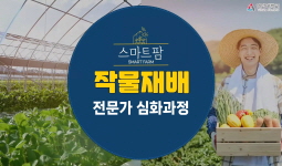 스마트팜 작물재배 전문가 심화과정